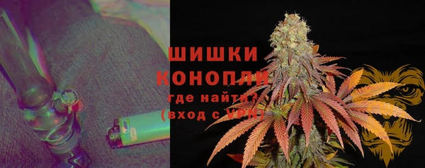 индика Няндома